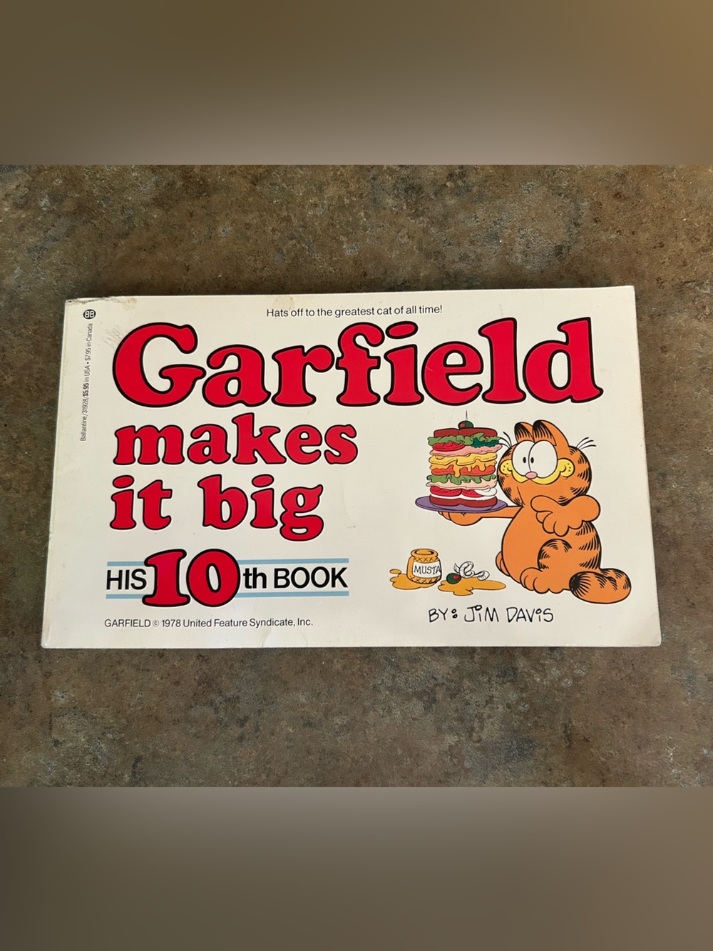 Garfield Makes It Big by Jim Davis, his 10th book vintage 1985 first edition